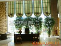 【重慶榕樹盆景】價格、產品供應,重慶榕樹盆景廠家批發列表2-1024商務網