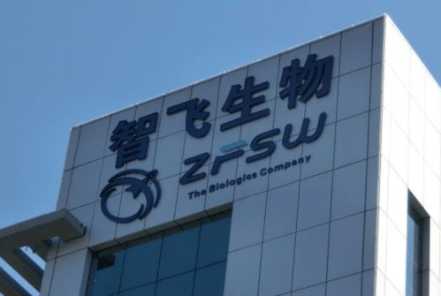 這個展區,東博會首次設立