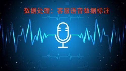 智能客服的基石 解析數(shù)據(jù)處理服務(wù)中的語音數(shù)據(jù)標(biāo)注
